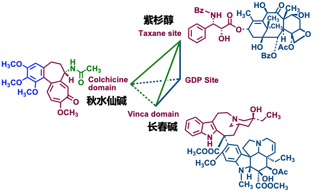 https://xux-zotero-img.oss-cn-beijing.aliyuncs.com/img/20260613031202629.png