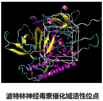 图片 https://xux-zotero-img.oss-cn-beijing.aliyuncs.com/img/20260613031208551.png