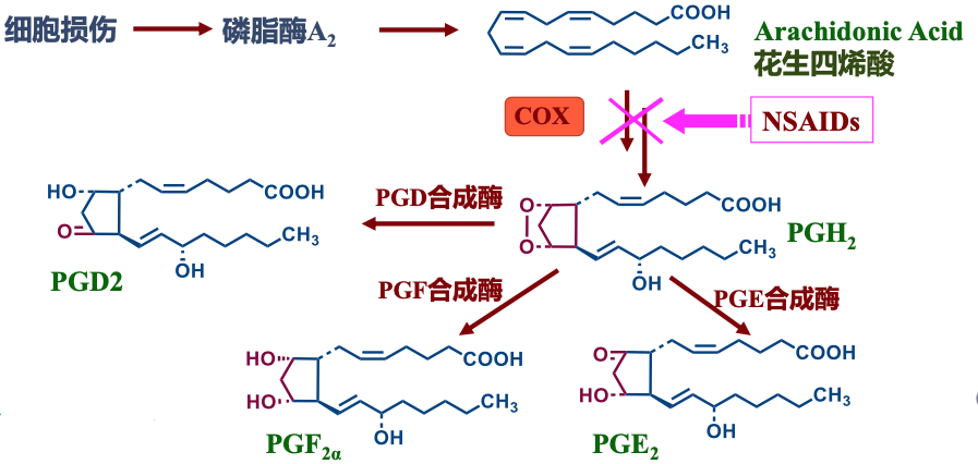图片 https://xux-zotero-img.oss-cn-beijing.aliyuncs.com/img/20260613031231905.png