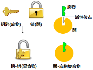 图片 https://xux-zotero-img.oss-cn-beijing.aliyuncs.com/img/20260613031306740.png