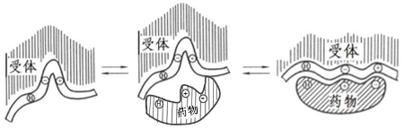 图片 https://xux-zotero-img.oss-cn-beijing.aliyuncs.com/img/20260613031308205.png