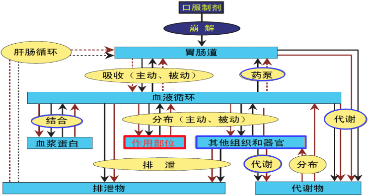 图片 https://xux-zotero-img.oss-cn-beijing.aliyuncs.com/img/20260613031516595.png