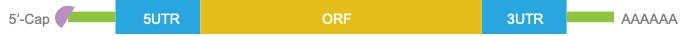 图片 https://xux-zotero-img.oss-cn-beijing.aliyuncs.com/img/20260613032230828.png