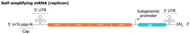 图片 https://xux-zotero-img.oss-cn-beijing.aliyuncs.com/img/20260613032253768.png